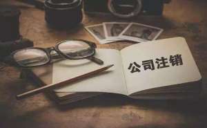 蕪湖分公司如何注銷清算