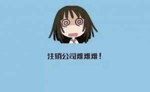 蕪湖繁昌區(qū)注銷公司要花多少費(fèi)用
