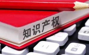 蕪湖繁昌區(qū)版權(quán)登記要哪些資料